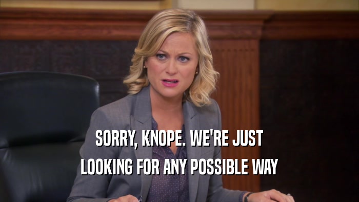 SORRY, KNOPE. WE'RE JUST LOOKING FOR ANY POSSIBLE WAY 