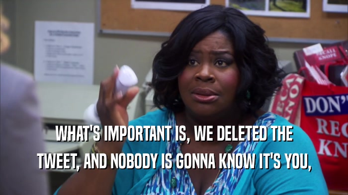 WHAT'S IMPORTANT IS, WE DELETED THE TWEET, AND NOBODY IS GONNA KNOW IT'S YOU, 