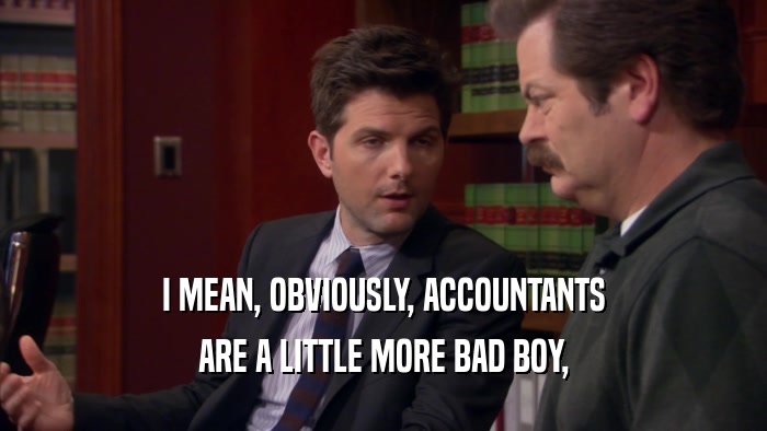 I MEAN, OBVIOUSLY, ACCOUNTANTS ARE A LITTLE MORE BAD BOY, 