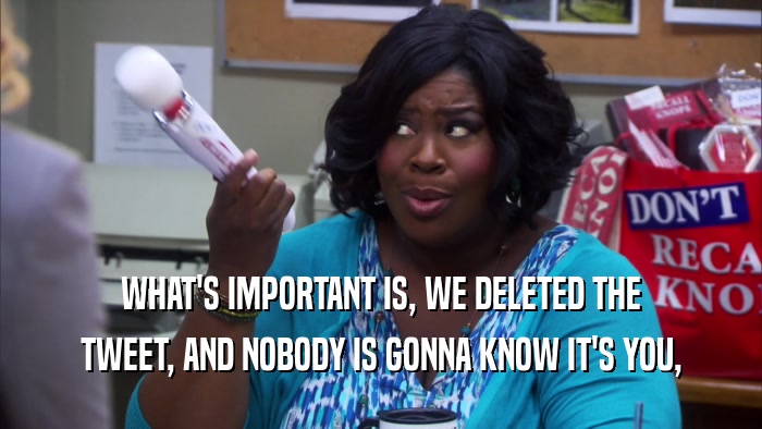 WHAT'S IMPORTANT IS, WE DELETED THE TWEET, AND NOBODY IS GONNA KNOW IT'S YOU, 