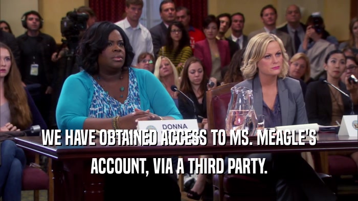 WE HAVE OBTAINED ACCESS TO MS. MEAGLE'S ACCOUNT, VIA A THIRD PARTY. 