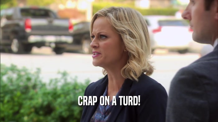 CRAP ON A TURD!  