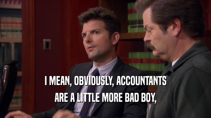 I MEAN, OBVIOUSLY, ACCOUNTANTS ARE A LITTLE MORE BAD BOY, 