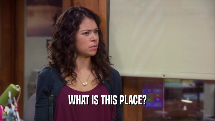 WHAT IS THIS PLACE?  