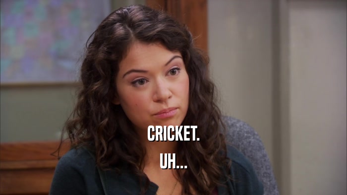 CRICKET. UH... 