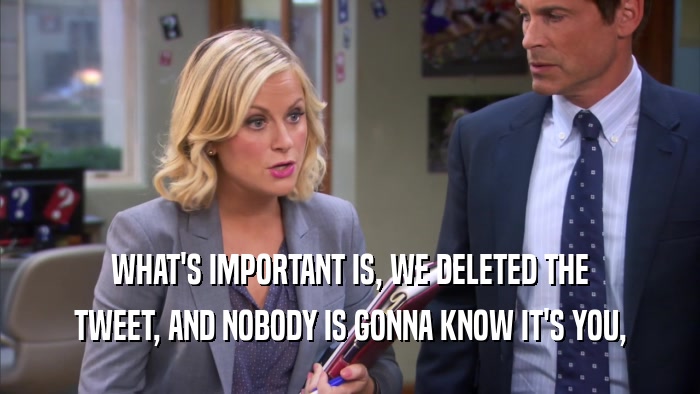 WHAT'S IMPORTANT IS, WE DELETED THE TWEET, AND NOBODY IS GONNA KNOW IT'S YOU, 
