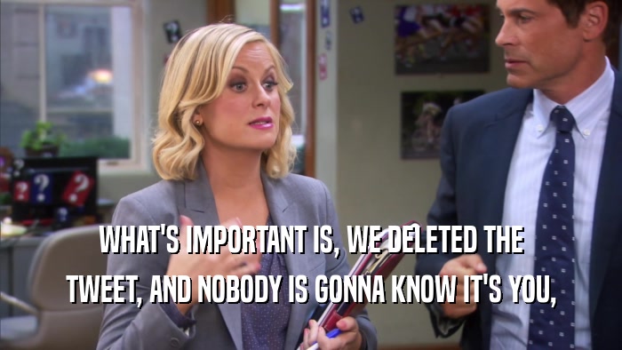 WHAT'S IMPORTANT IS, WE DELETED THE TWEET, AND NOBODY IS GONNA KNOW IT'S YOU, 