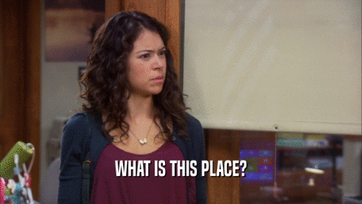WHAT IS THIS PLACE?  