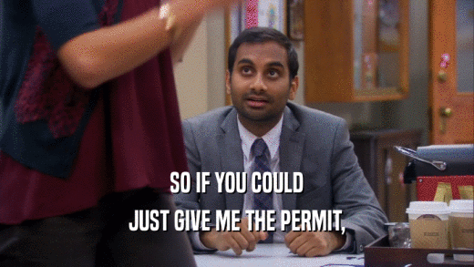 SO IF YOU COULD JUST GIVE ME THE PERMIT, 