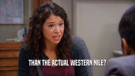 THAN THE ACTUAL WESTERN NILE?  