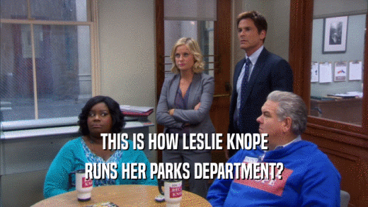 THIS IS HOW LESLIE KNOPE RUNS HER PARKS DEPARTMENT? 
