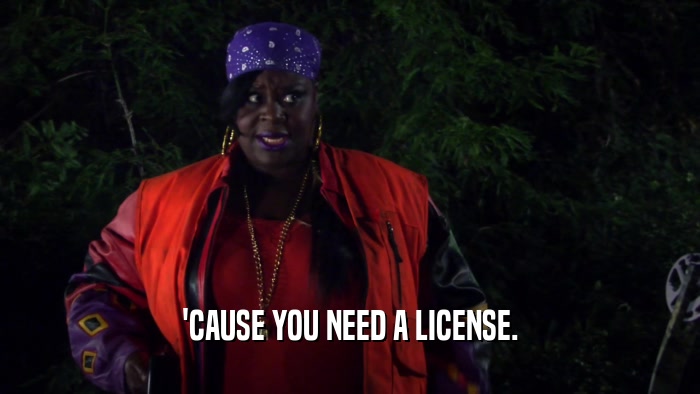 'CAUSE YOU NEED A LICENSE.  