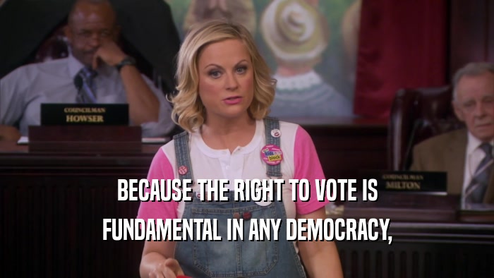 BECAUSE THE RIGHT TO VOTE IS FUNDAMENTAL IN ANY DEMOCRACY, 