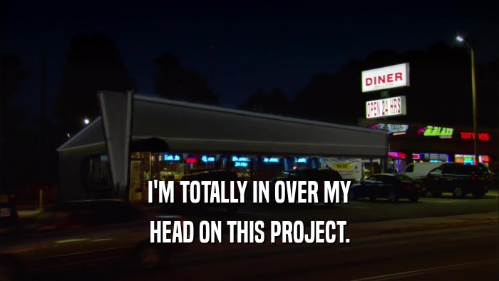 I'M TOTALLY IN OVER MY HEAD ON THIS PROJECT. 