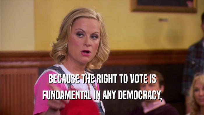 BECAUSE THE RIGHT TO VOTE IS FUNDAMENTAL IN ANY DEMOCRACY, 