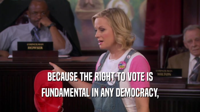 BECAUSE THE RIGHT TO VOTE IS FUNDAMENTAL IN ANY DEMOCRACY, 