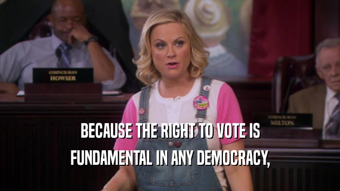 BECAUSE THE RIGHT TO VOTE IS FUNDAMENTAL IN ANY DEMOCRACY, 