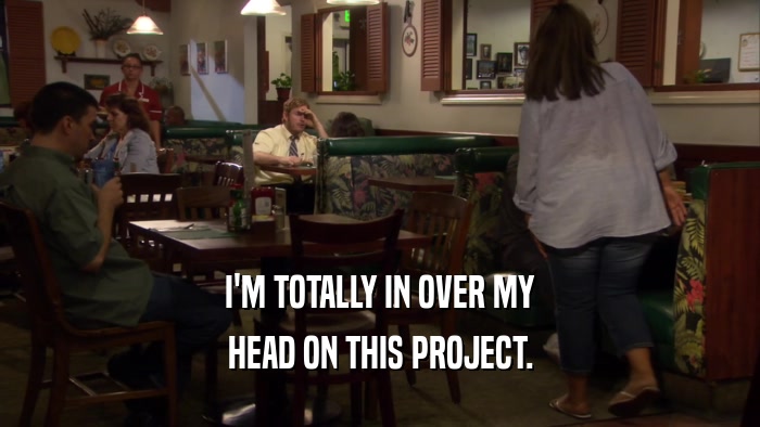 I'M TOTALLY IN OVER MY HEAD ON THIS PROJECT. 