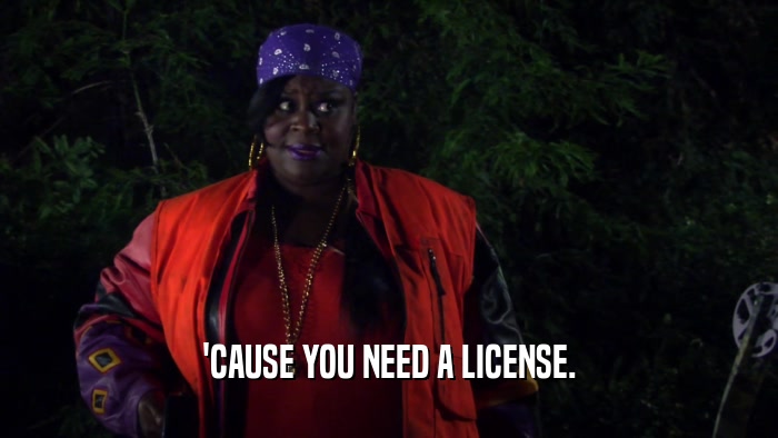 'CAUSE YOU NEED A LICENSE.  