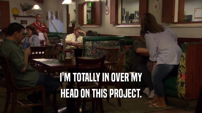 I'M TOTALLY IN OVER MY HEAD ON THIS PROJECT. 