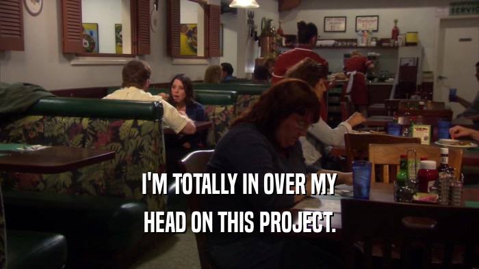 I'M TOTALLY IN OVER MY HEAD ON THIS PROJECT. 