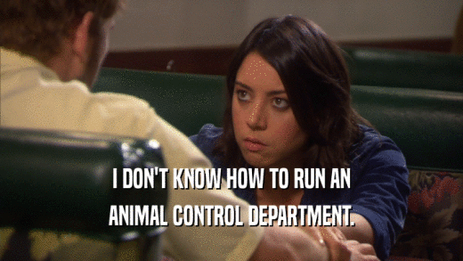 I DON'T KNOW HOW TO RUN AN ANIMAL CONTROL DEPARTMENT. 