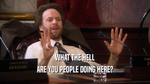 WHAT THE HELL ARE YOU PEOPLE DOING HERE? 
