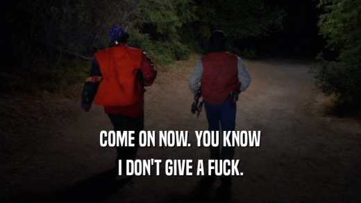 COME ON NOW. YOU KNOW I DON'T GIVE A FUCK. 