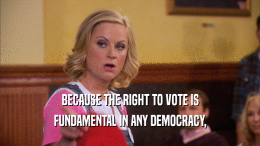 BECAUSE THE RIGHT TO VOTE IS FUNDAMENTAL IN ANY DEMOCRACY, 