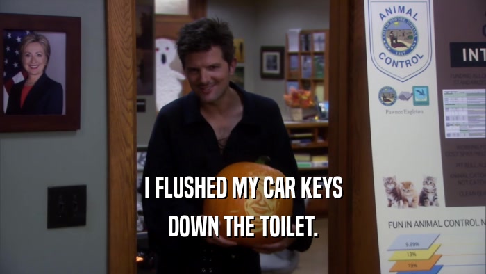 I FLUSHED MY CAR KEYS DOWN THE TOILET. 