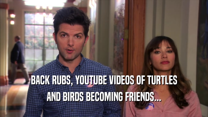 BACK RUBS, YOUTUBE VIDEOS OF TURTLES AND BIRDS BECOMING FRIENDS... 
