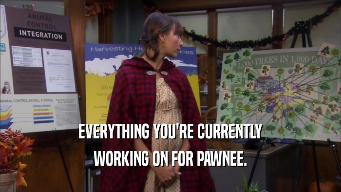 EVERYTHING YOU'RE CURRENTLY WORKING ON FOR PAWNEE. 