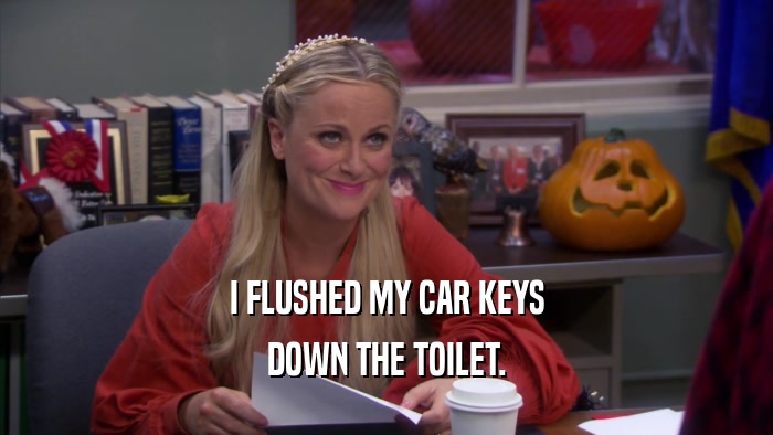 I FLUSHED MY CAR KEYS DOWN THE TOILET. 