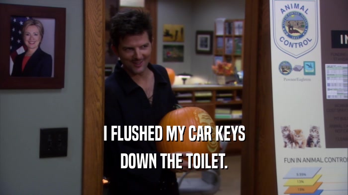 I FLUSHED MY CAR KEYS DOWN THE TOILET. 