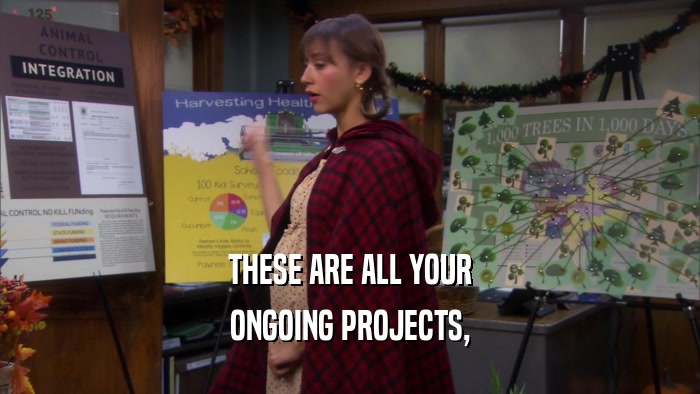 THESE ARE ALL YOUR ONGOING PROJECTS, 
