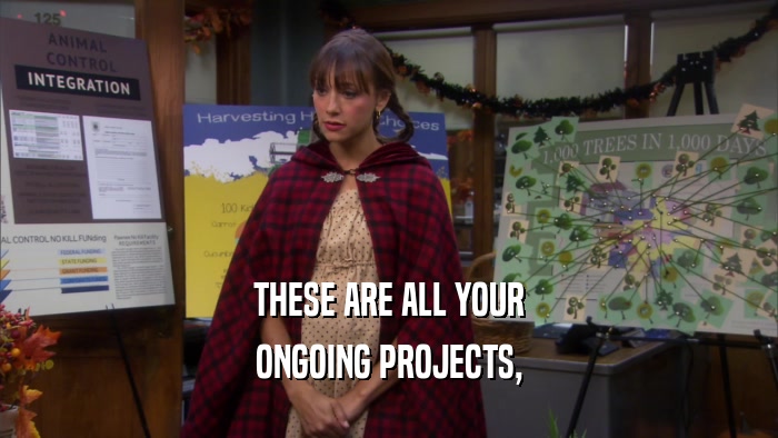 THESE ARE ALL YOUR ONGOING PROJECTS, 