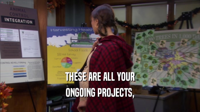 THESE ARE ALL YOUR ONGOING PROJECTS, 