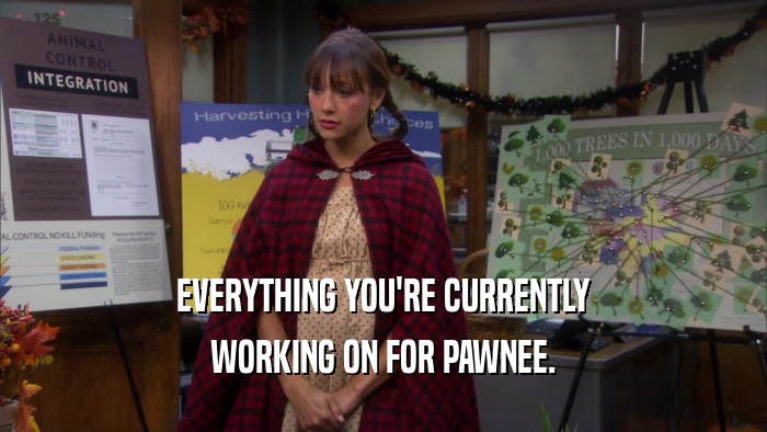 EVERYTHING YOU'RE CURRENTLY WORKING ON FOR PAWNEE. 