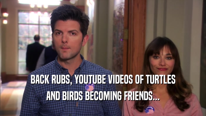 BACK RUBS, YOUTUBE VIDEOS OF TURTLES AND BIRDS BECOMING FRIENDS... 