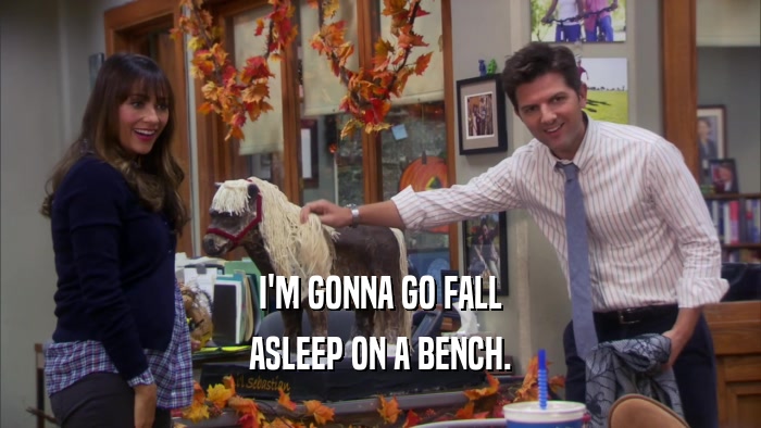 I'M GONNA GO FALL ASLEEP ON A BENCH. 