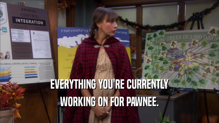 EVERYTHING YOU'RE CURRENTLY WORKING ON FOR PAWNEE. 