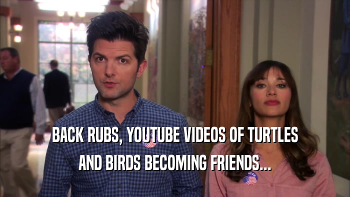 BACK RUBS, YOUTUBE VIDEOS OF TURTLES AND BIRDS BECOMING FRIENDS... 