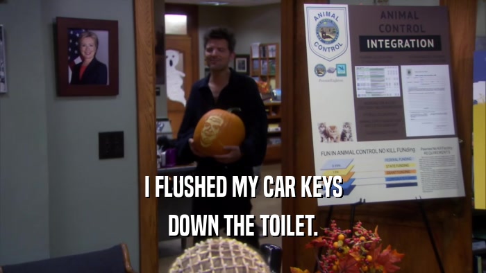 I FLUSHED MY CAR KEYS DOWN THE TOILET. 
