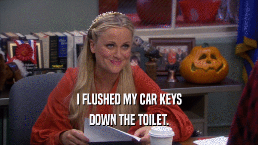I FLUSHED MY CAR KEYS DOWN THE TOILET. 