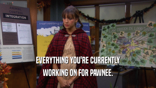 EVERYTHING YOU'RE CURRENTLY WORKING ON FOR PAWNEE. 