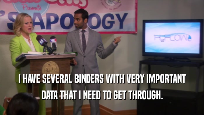 I HAVE SEVERAL BINDERS WITH VERY IMPORTANT DATA THAT I NEED TO GET THROUGH. 