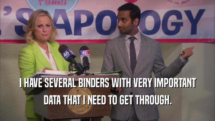 I HAVE SEVERAL BINDERS WITH VERY IMPORTANT DATA THAT I NEED TO GET THROUGH. 