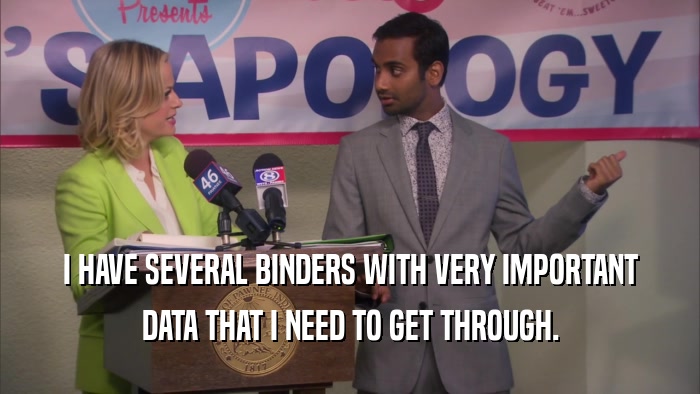 I HAVE SEVERAL BINDERS WITH VERY IMPORTANT DATA THAT I NEED TO GET THROUGH. 