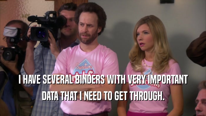 I HAVE SEVERAL BINDERS WITH VERY IMPORTANT DATA THAT I NEED TO GET THROUGH. 