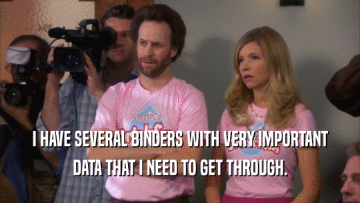 I HAVE SEVERAL BINDERS WITH VERY IMPORTANT DATA THAT I NEED TO GET THROUGH. 